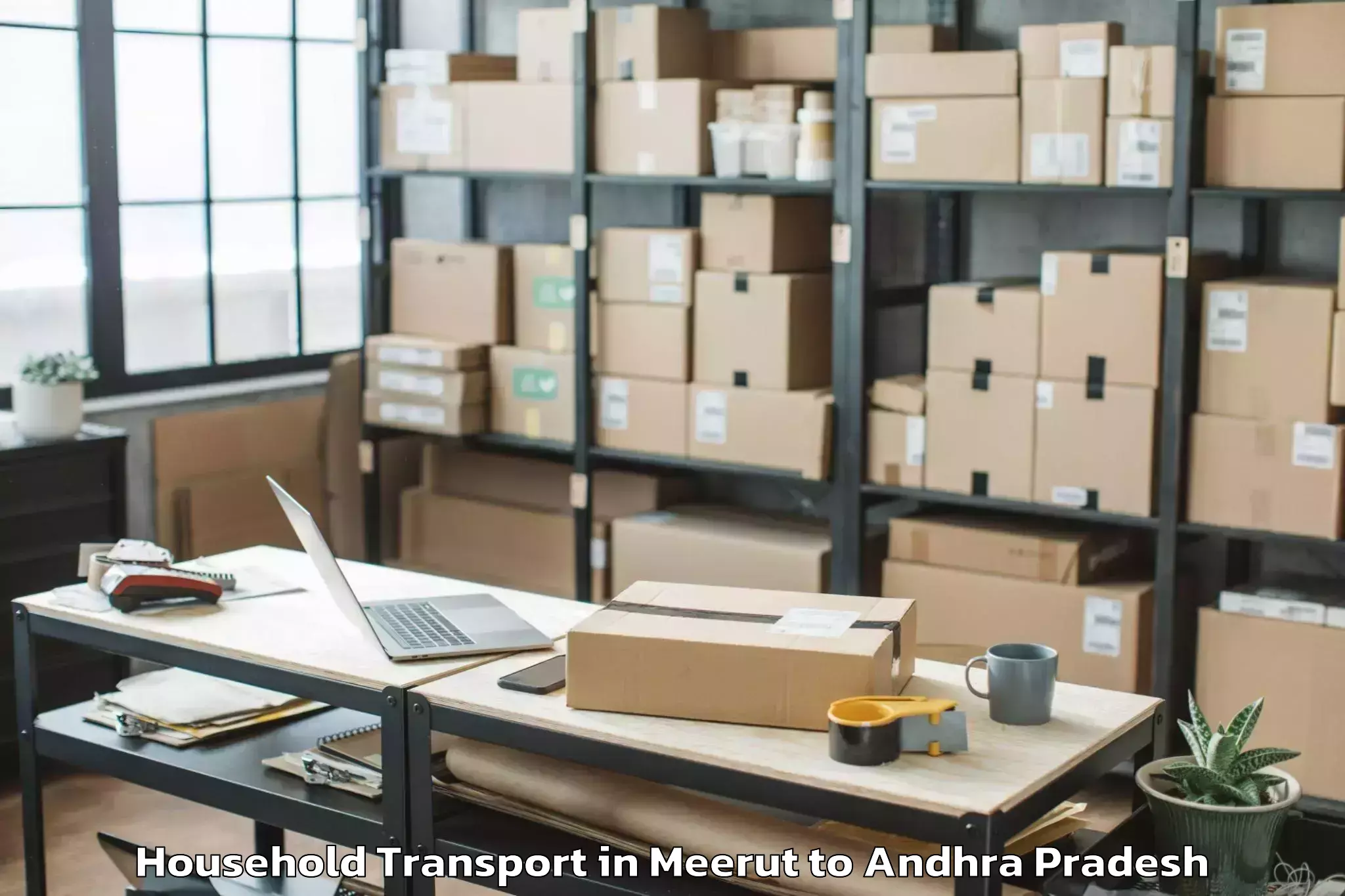 Professional Meerut to Tadikalapudi Household Transport